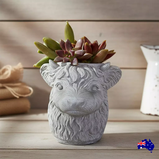 Planter Pot Highland Cow Aussie Handmade Concrete
