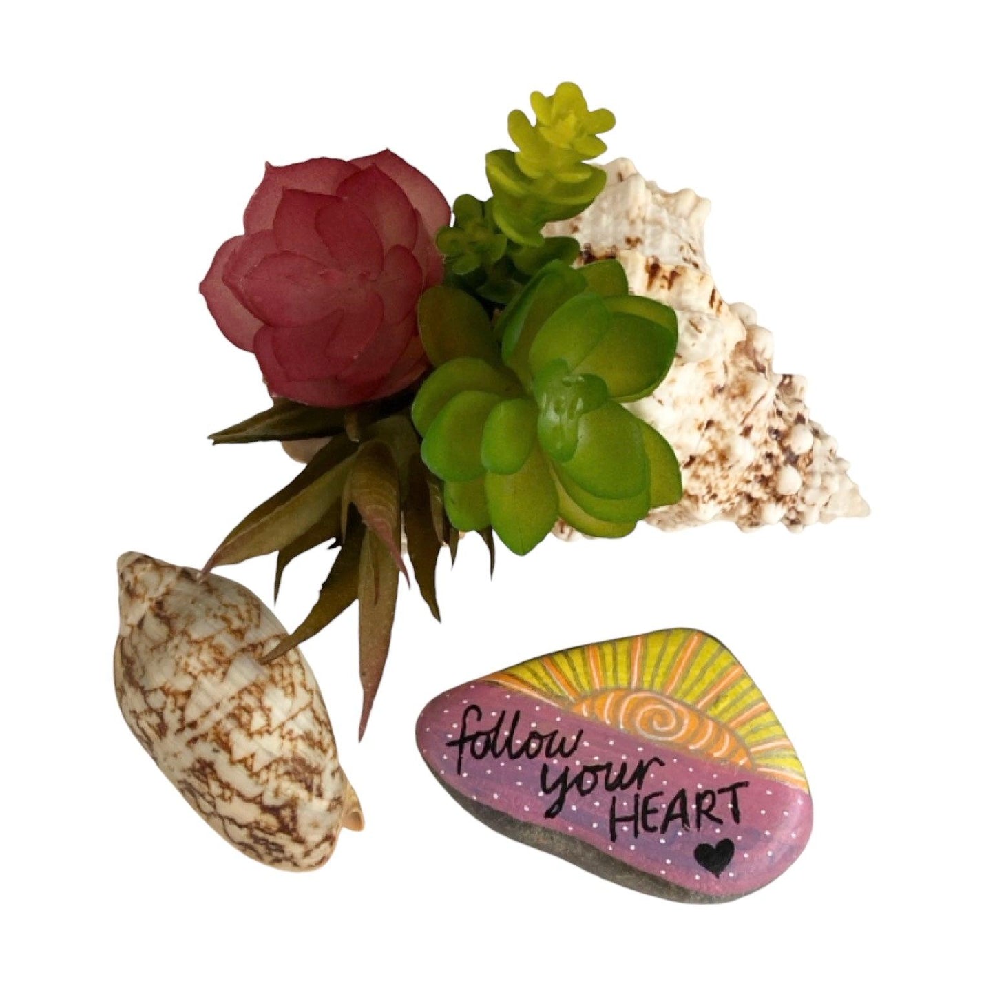 Air Plant Succulent Shell Follow Your Heat Rock Gift - The Renmy Store Homewares & Gifts 