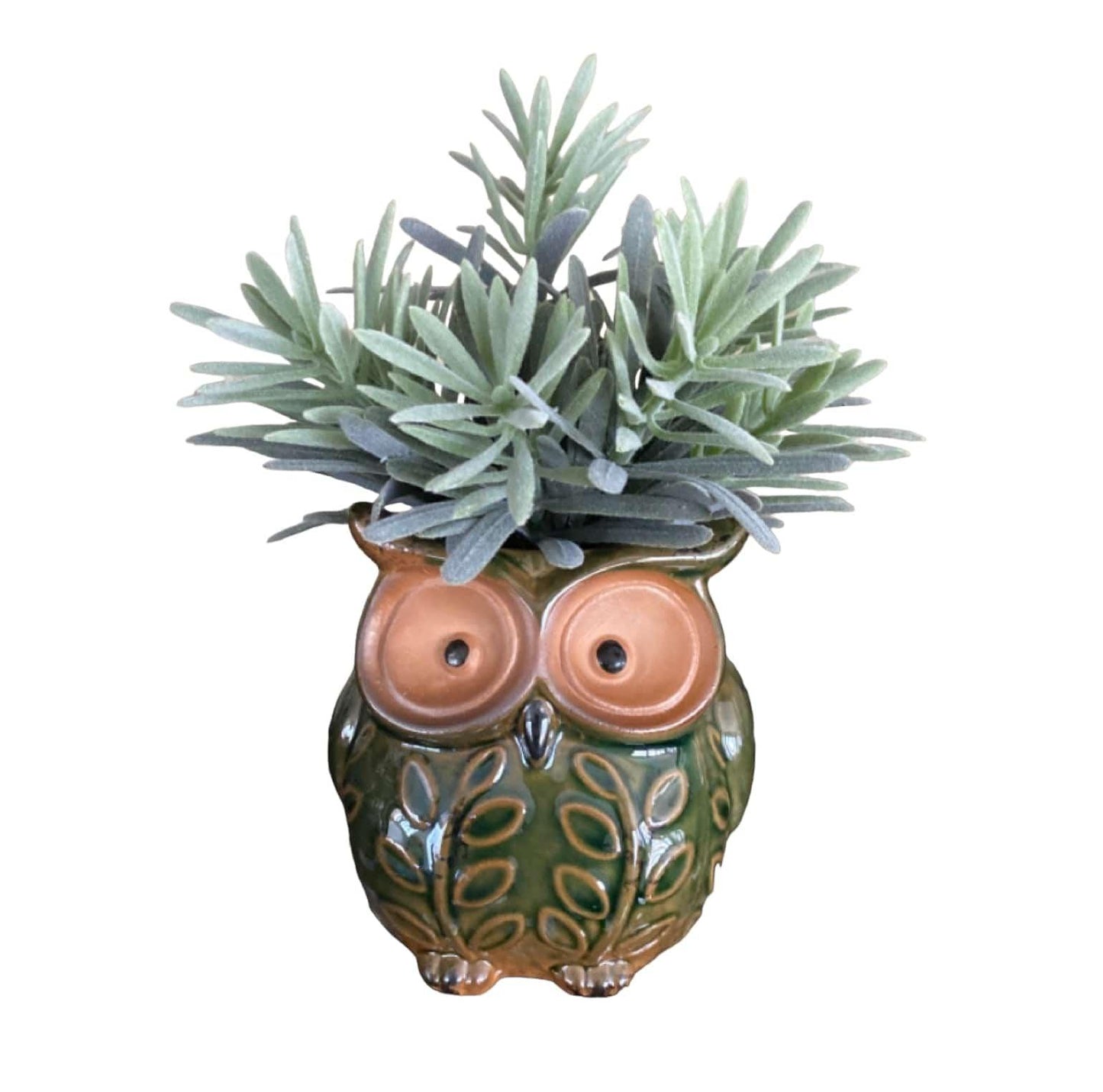 Plant Pot Planter Owl Green - The Renmy Store Homewares & Gifts 