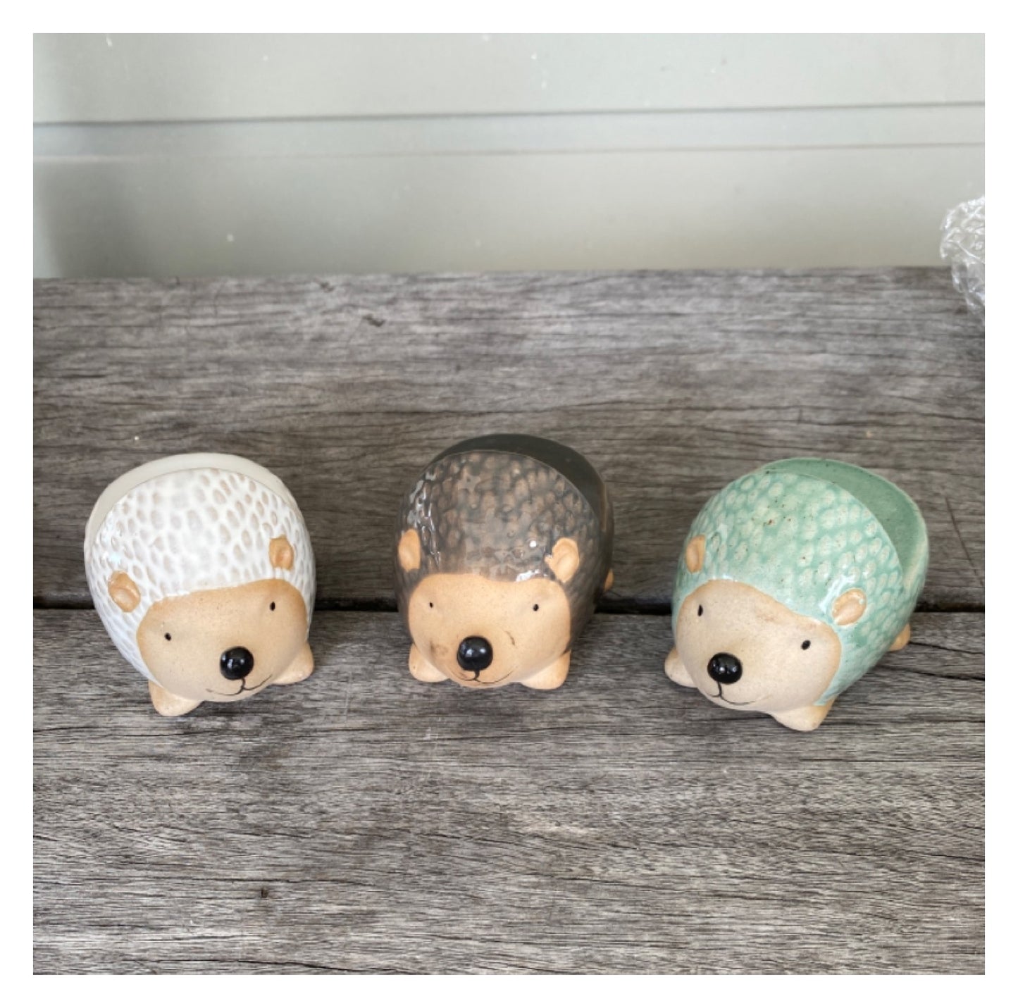Pot Plant Feet Echidna Set of 3 - The Renmy Store Homewares & Gifts 