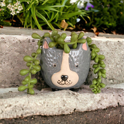 Plant Pot Planter Dog Rufus - The Renmy Store Homewares & Gifts 