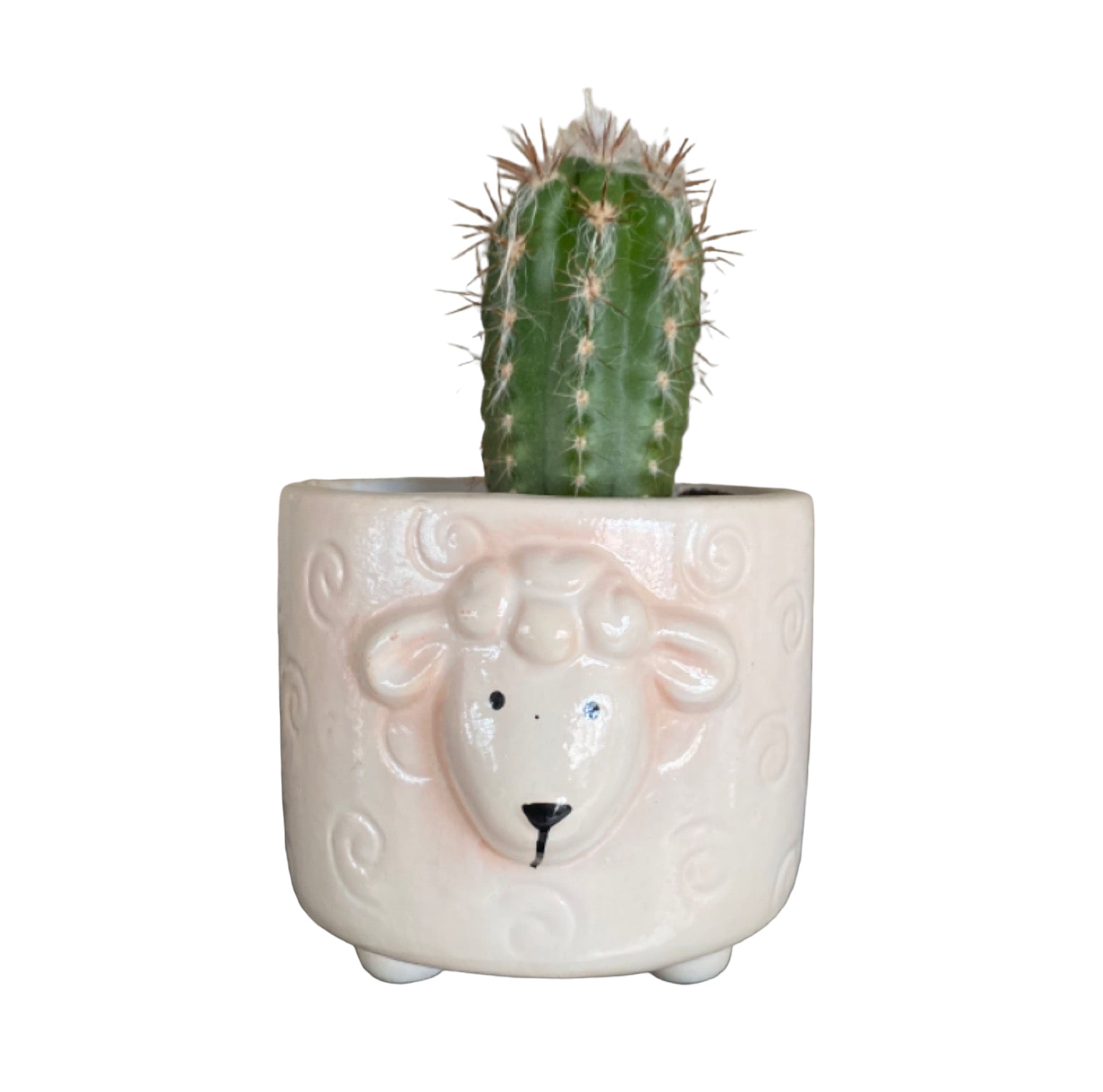 Plant Pot Planter Sheep Country - The Renmy Store Homewares & Gifts 