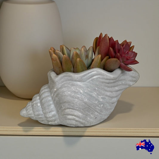 Planter Pot Shell Coastal Aussie Handmade Concrete