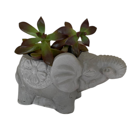 Planter Pot Elephant Love Aussie Handmade Concrete