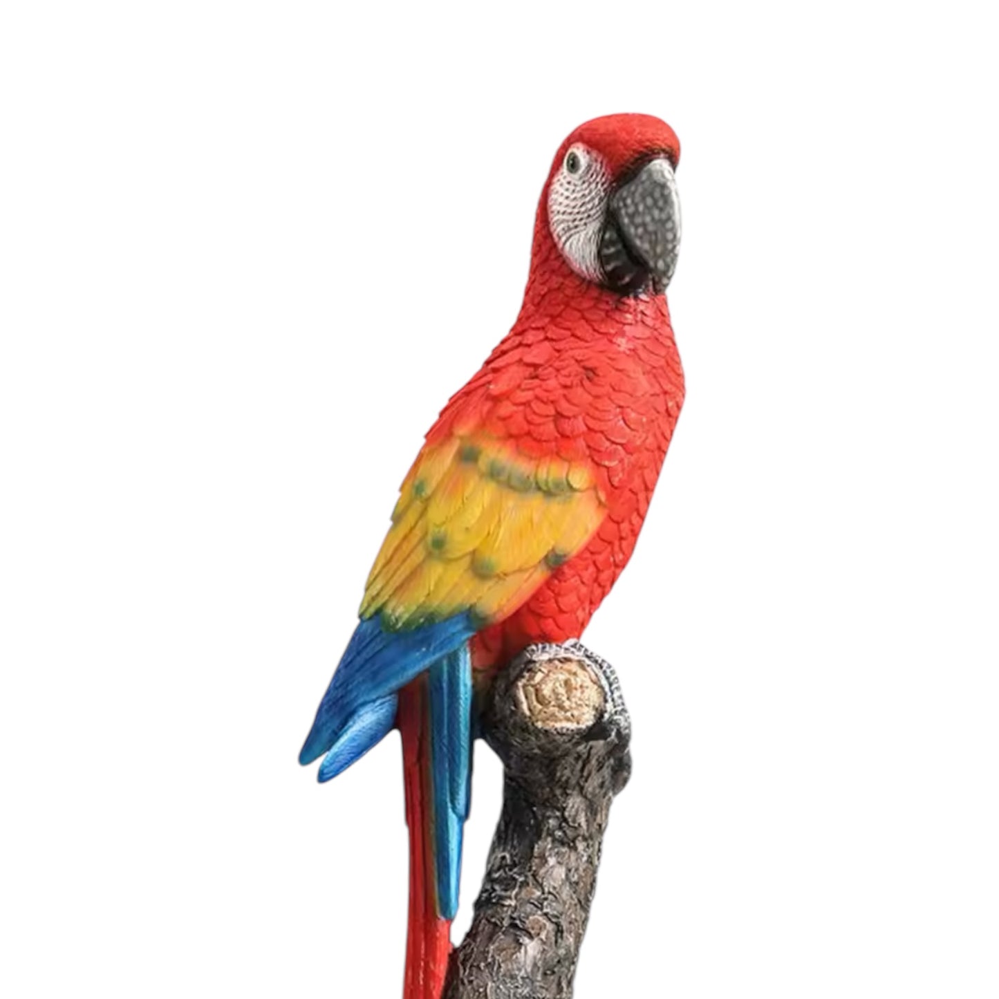 Macaw Parrot Red Ornament