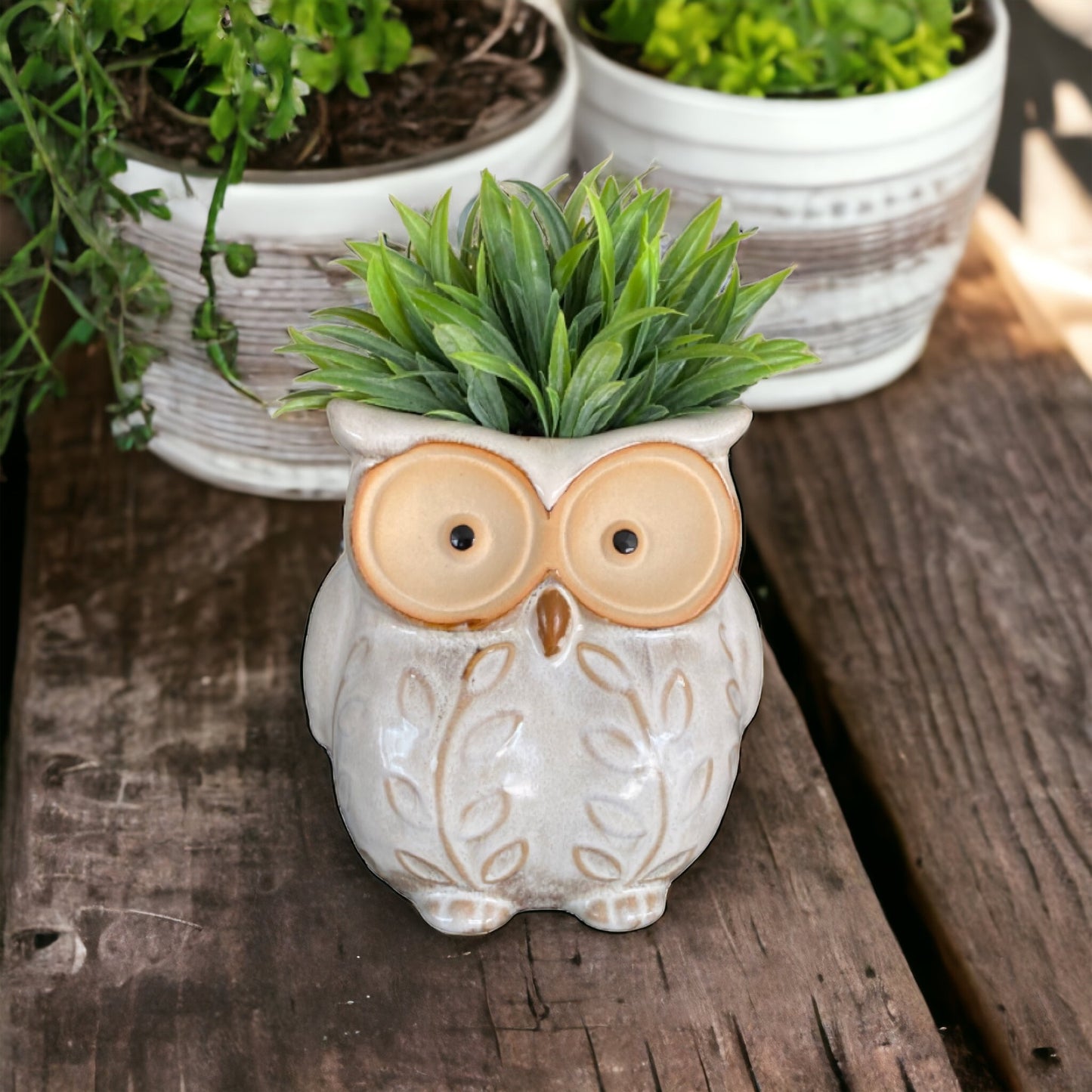Plant Pot Planter Owl Natural Bird