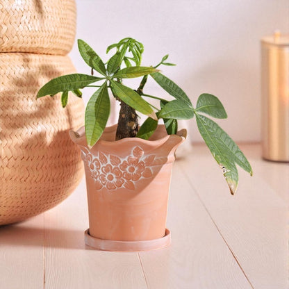 Planter Pot Garden Terracotta Pottery Clay Range