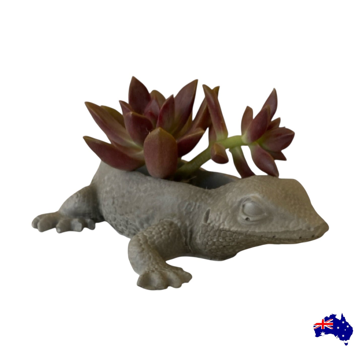 Planter Pot Lizard Aussie Handmade Concrete