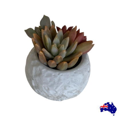 Planter Pot Round Rustic Stone Aussie Handmade Concrete
