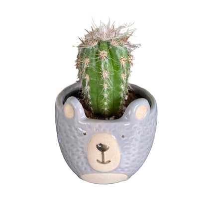 Plant Pot Planter Woodland Bear - The Renmy Store Homewares & Gifts 