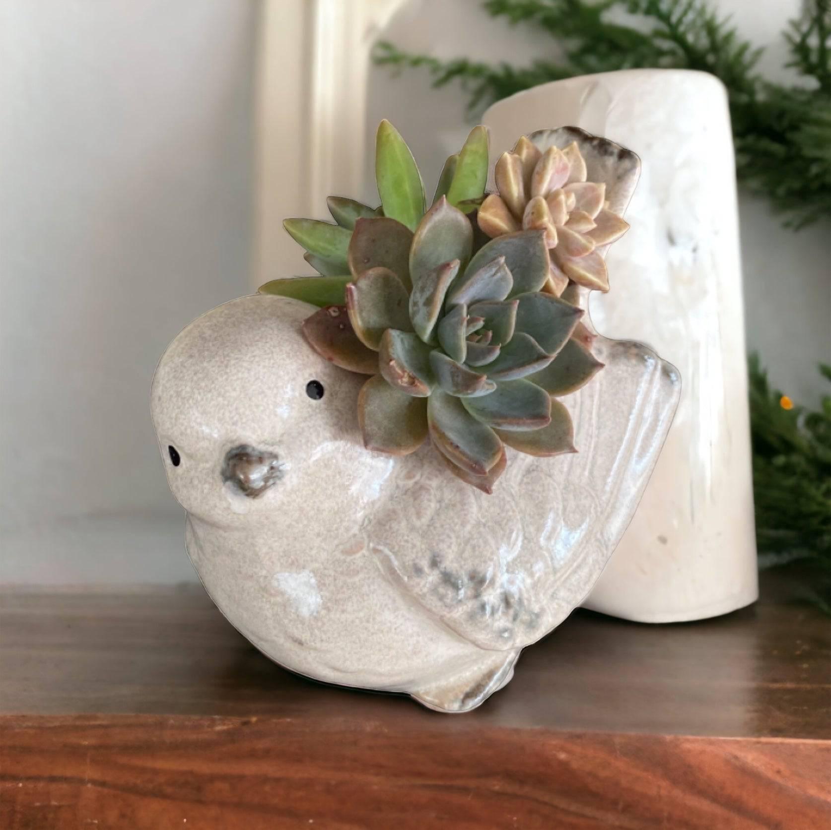 Plant Pot Planter Bird Natural - The Renmy Store Homewares & Gifts 