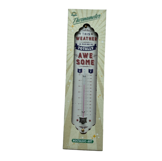 Thermometer Weather Temperature Awesome - The Renmy Store Homewares & Gifts 
