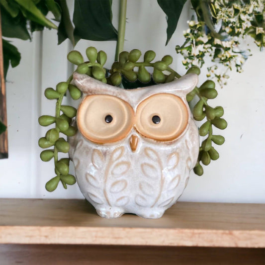 Plant Pot Planter Owl Natural - The Renmy Store Homewares & Gifts 