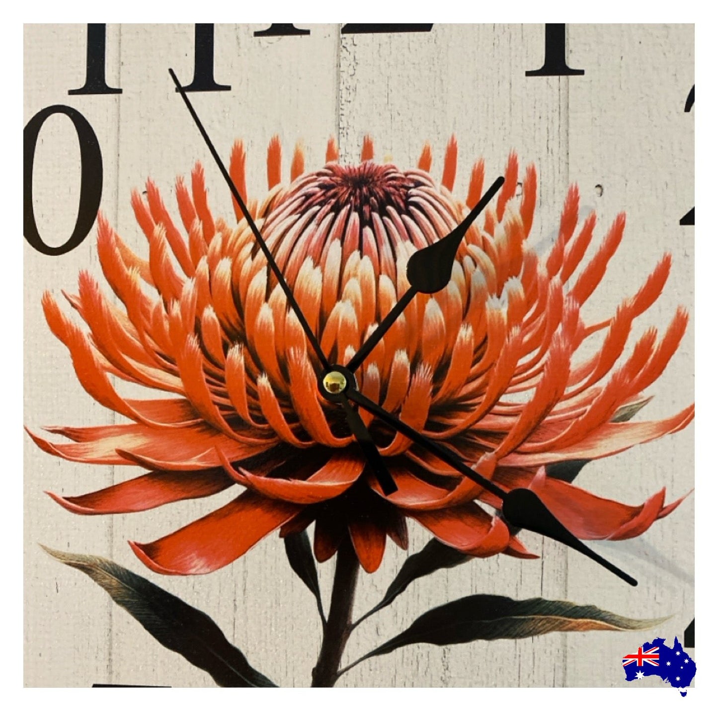 Clock Wall Waratah Native Flower 30cm 60cm Aussie Made