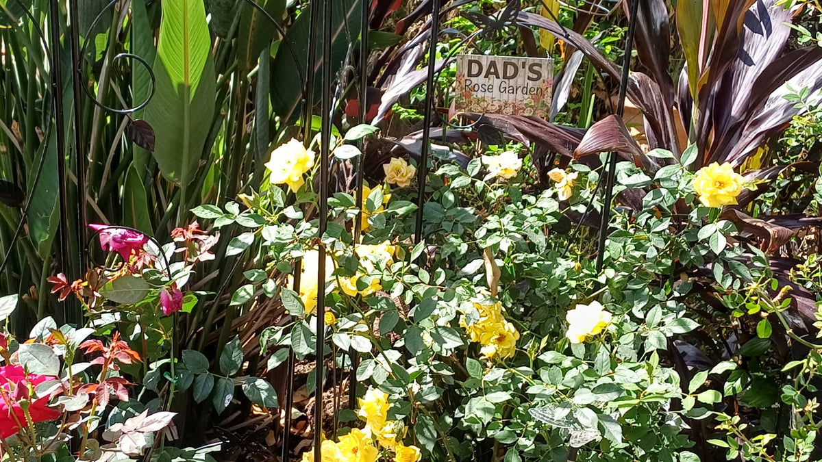 Custom Floral Garden Rose Sign - Personalised Vintage Signage - Australian Made