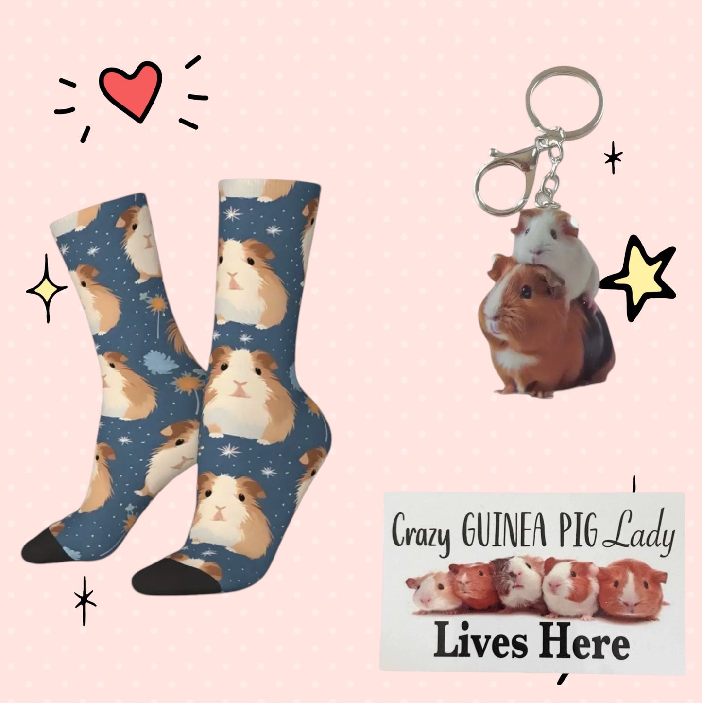 Guinea Pig Socks Keyring and Crazy Lady Sign Gift Set