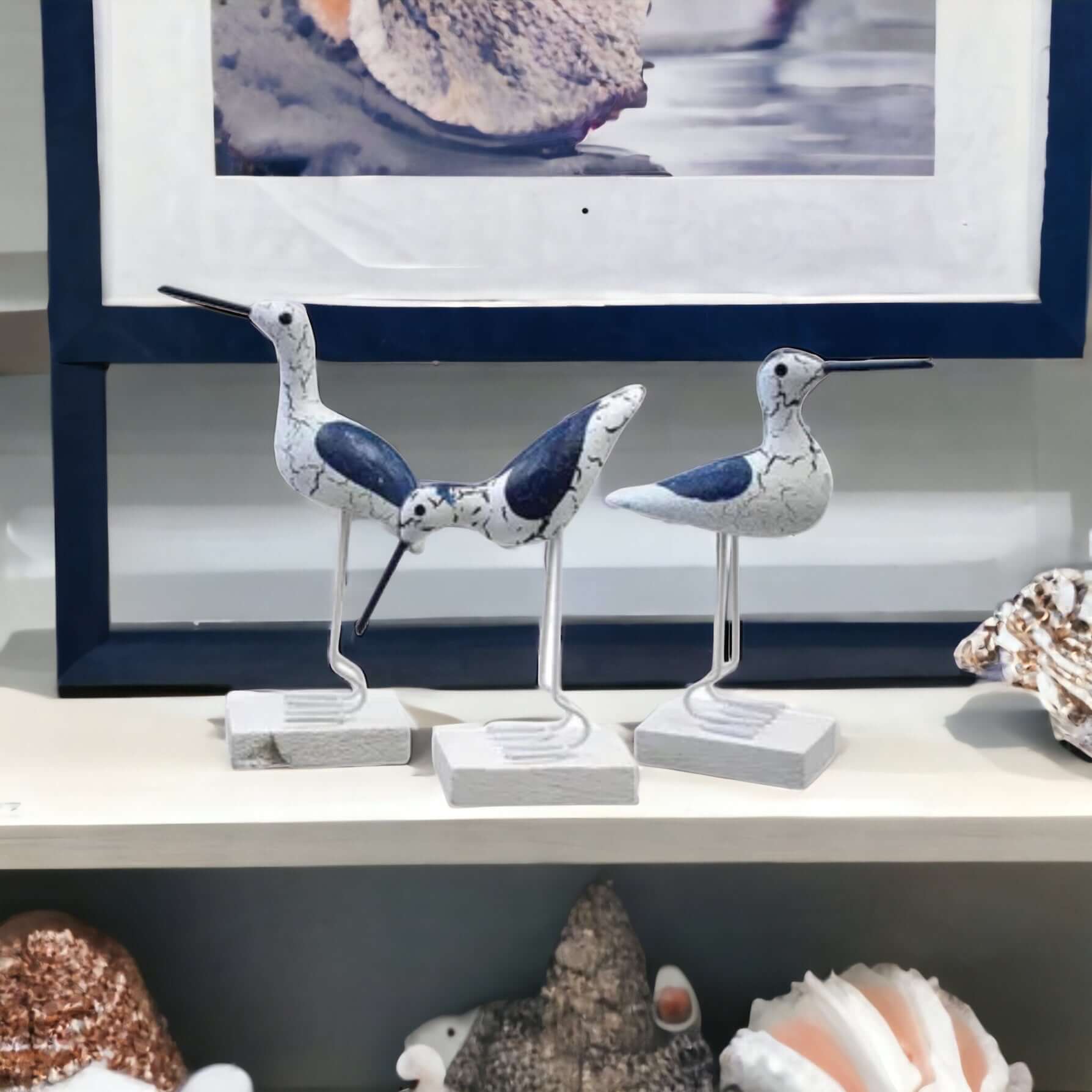 Bird Ocean Coastal Set of 3 Blue - The Renmy Store Homewares & Gifts 