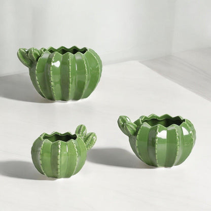 Pot Planter Cactus Garden - The Renmy Store Homewares & Gifts 