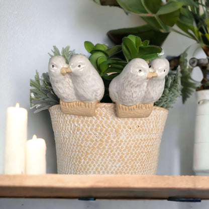 Bird Pot Sitter Hanger Planter x 2 French Love - The Renmy Store Homewares & Gifts 