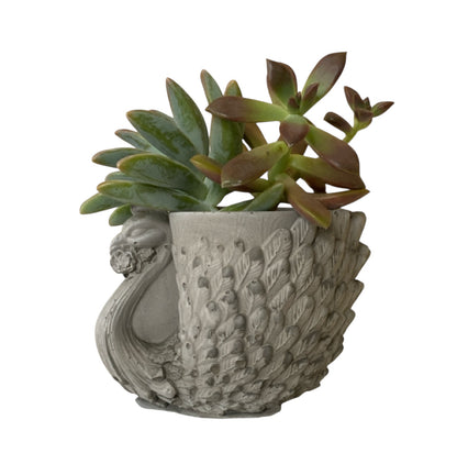 Planter Pot Peacock Bird Aussie Handmade Concrete