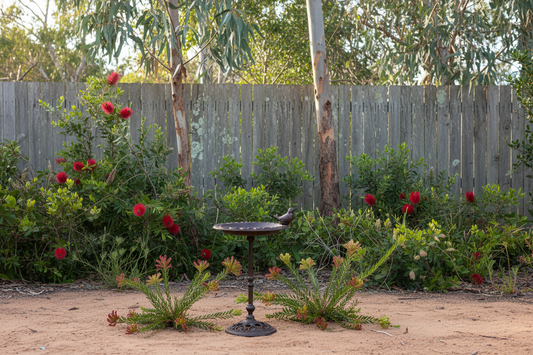 Bird Feeder Bath Country Cast Iron Birdie Stand