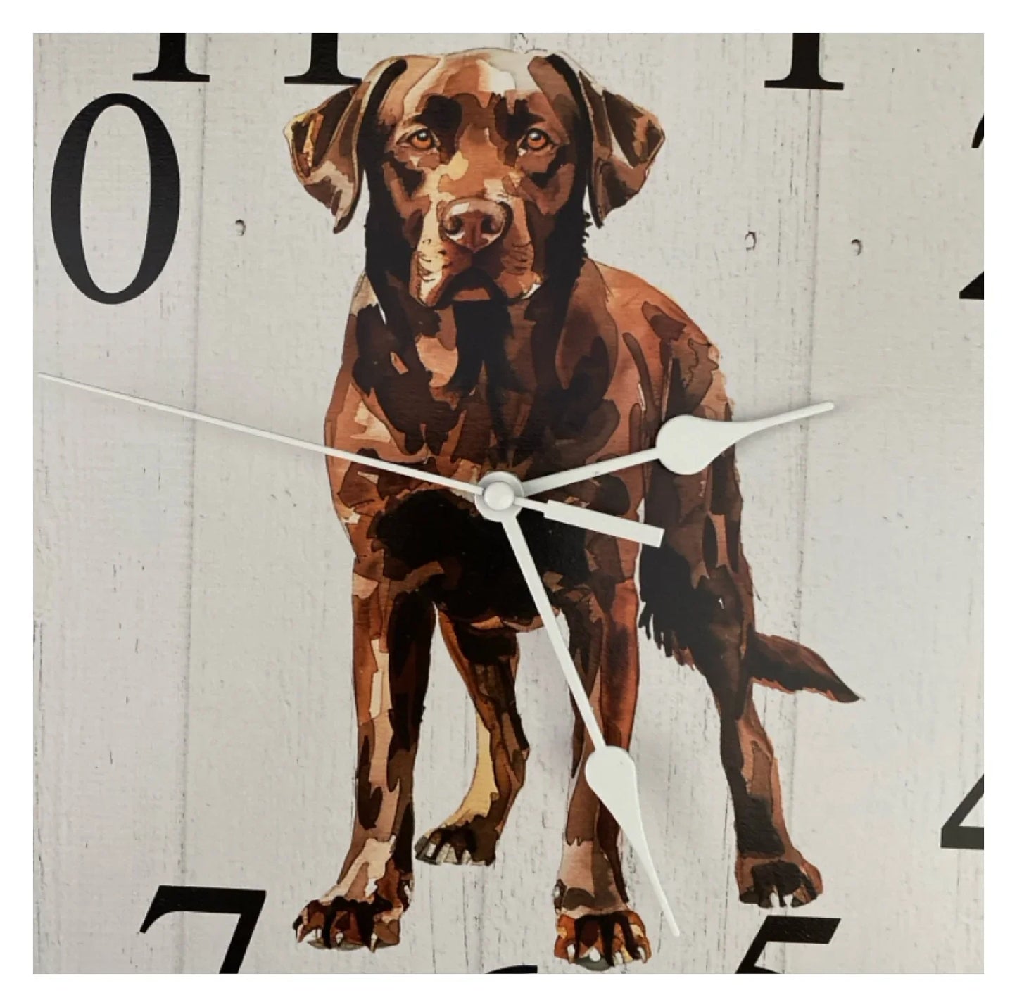 Clock Wall Dog Labrador Retriever Chocolate Brown 30cm 60cm Aussie Made