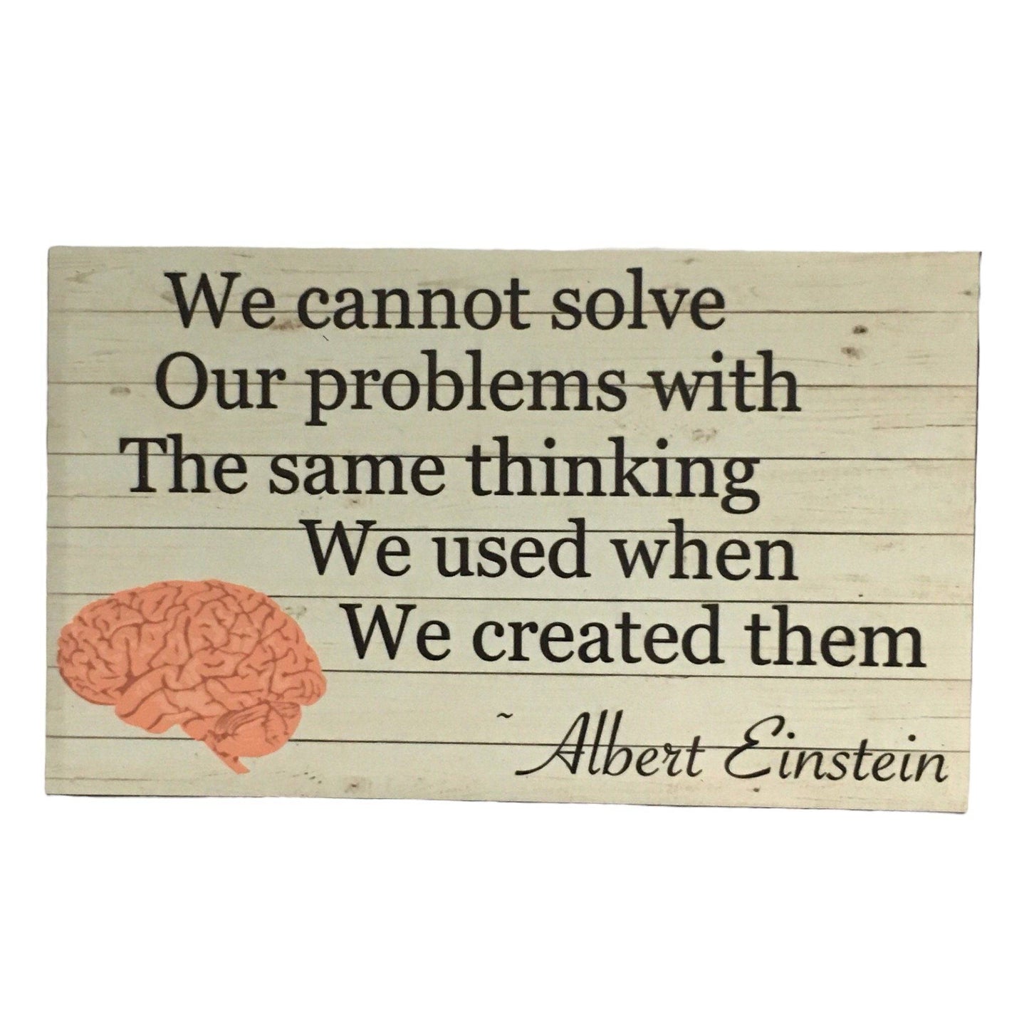 Problems Thinking Quote Albert Einstein Sign - The Renmy Store Homewares & Gifts 