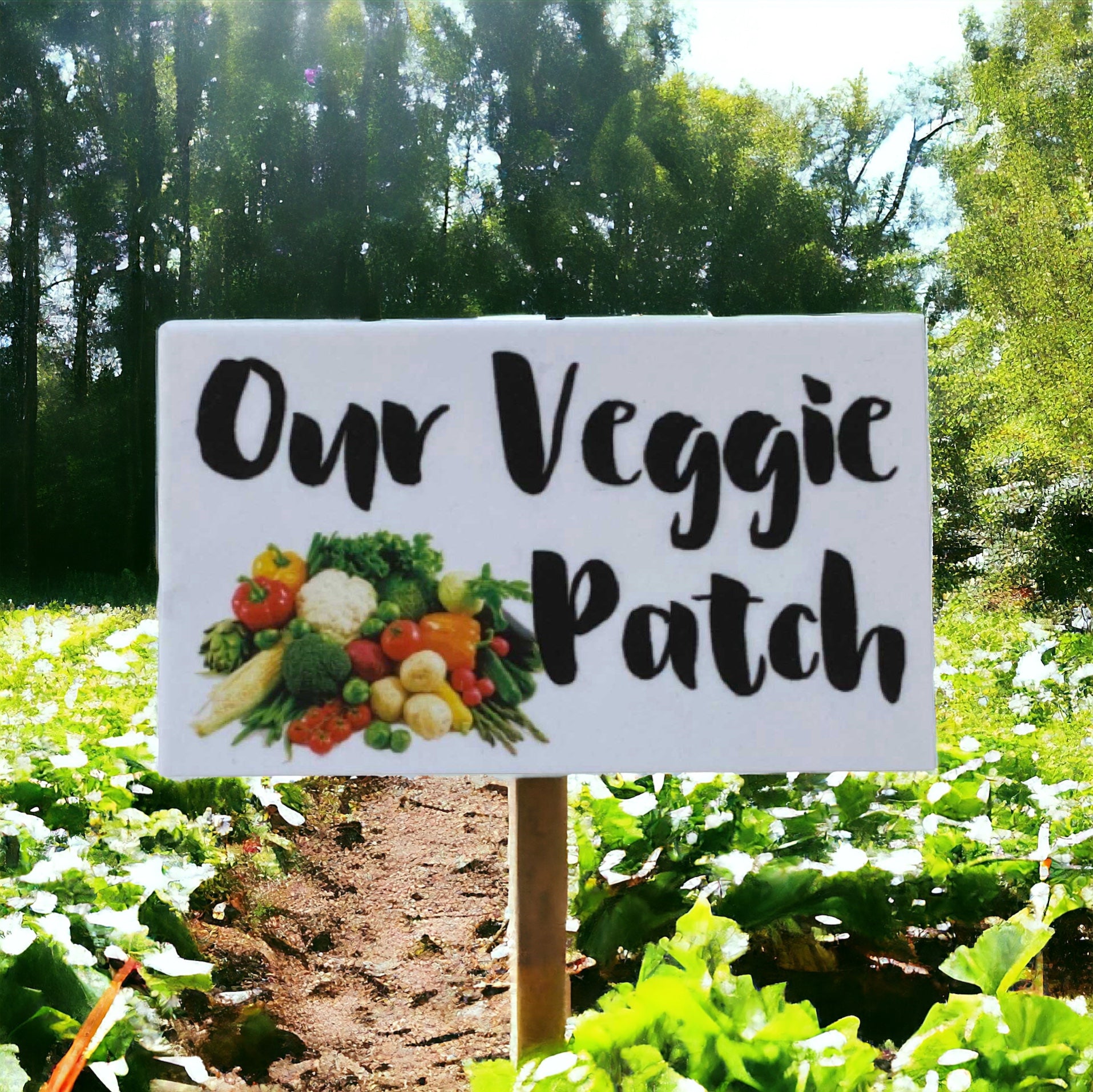 Our Veggie Patch White Sign - The Renmy Store Homewares & Gifts 