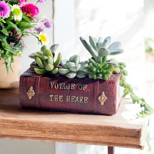 Plant Pot Vintage Book Succulent - The Renmy Store Homewares & Gifts 