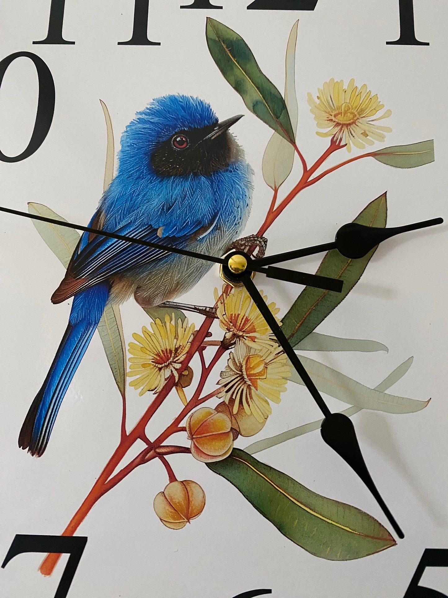 Clock Wall Blue Wren Superb Fairy-Wren Aussie Made | 30cm & 60cm Silent Wall Clock