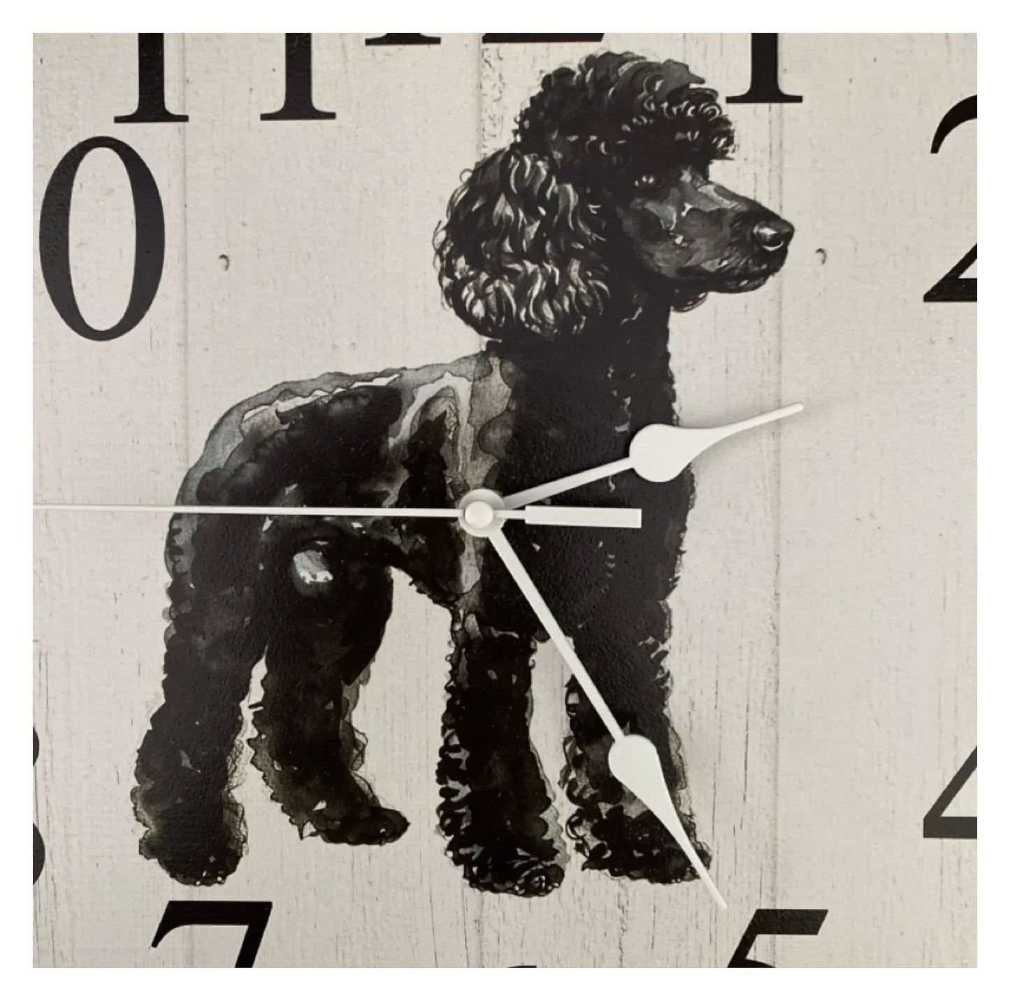 Black Poodle Dog Wall Clock | Aussie Made 30cm 60cm