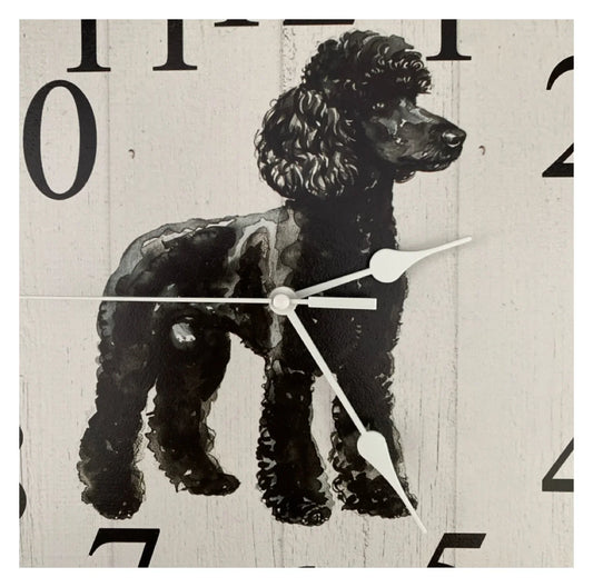 Clock Wall Dog Poodle Black 30cm 60cm Aussie Made