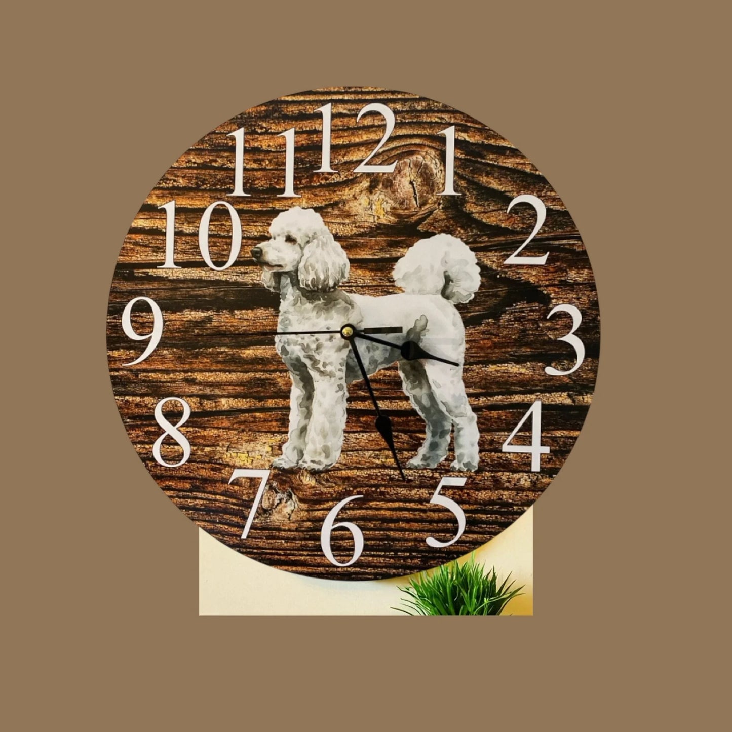 Clock Wall Dog Poodle White Grey 30cm 60cm Aussie Made