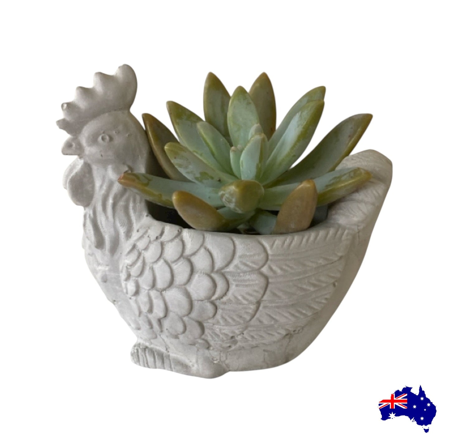 Planter Pot Rooster Chicken Aussie Handmade Concrete