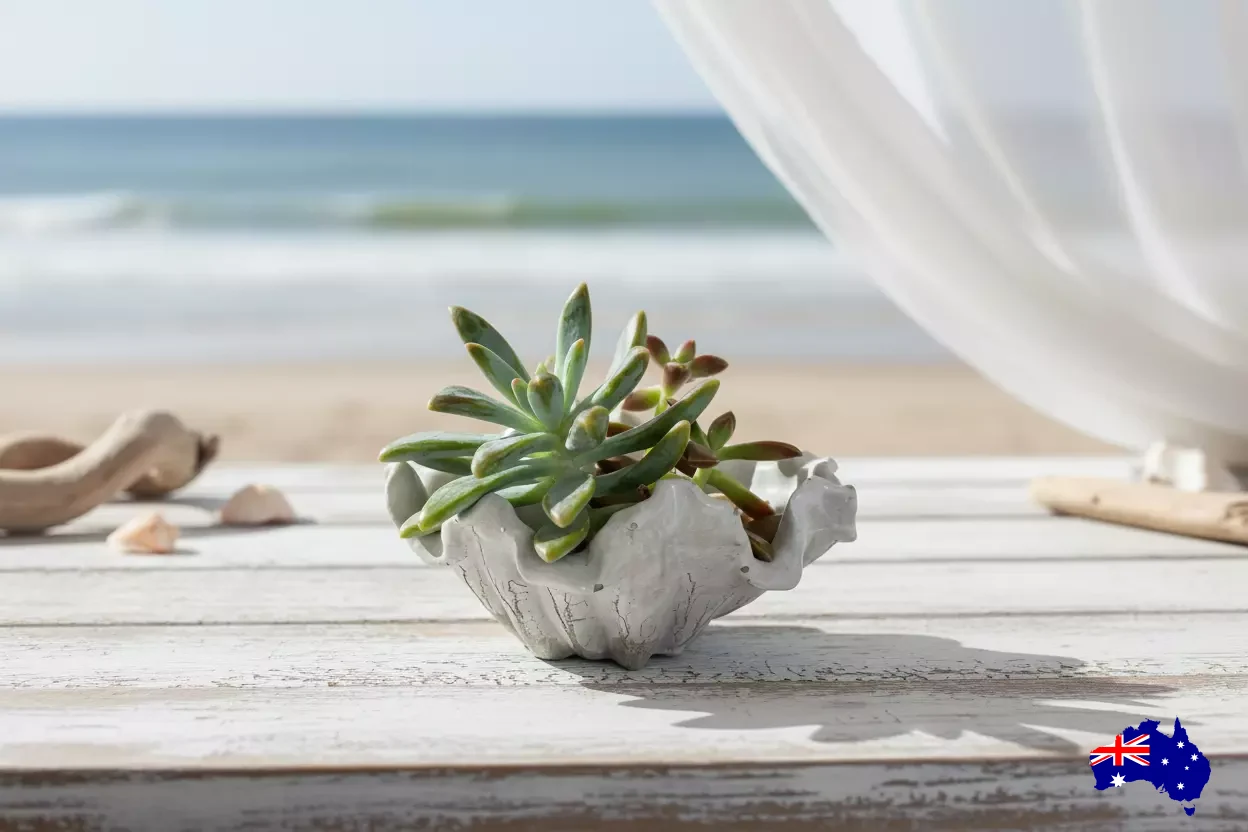 Planter Pot Dish Soap Shell Coastal Aussie Handmade Concrete