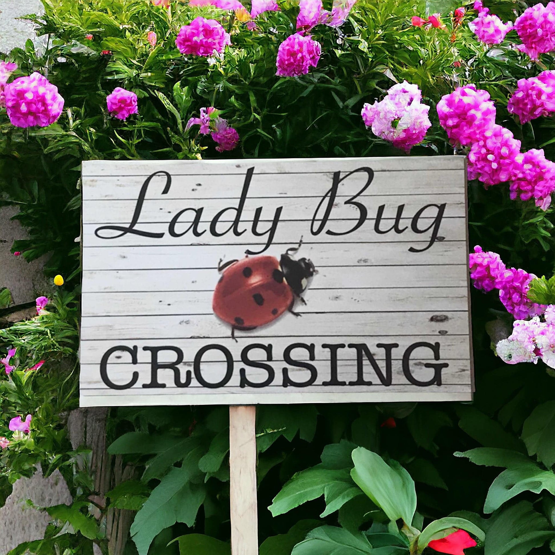 Lady Bug Beetle Crossing Sign - The Renmy Store Homewares & Gifts 