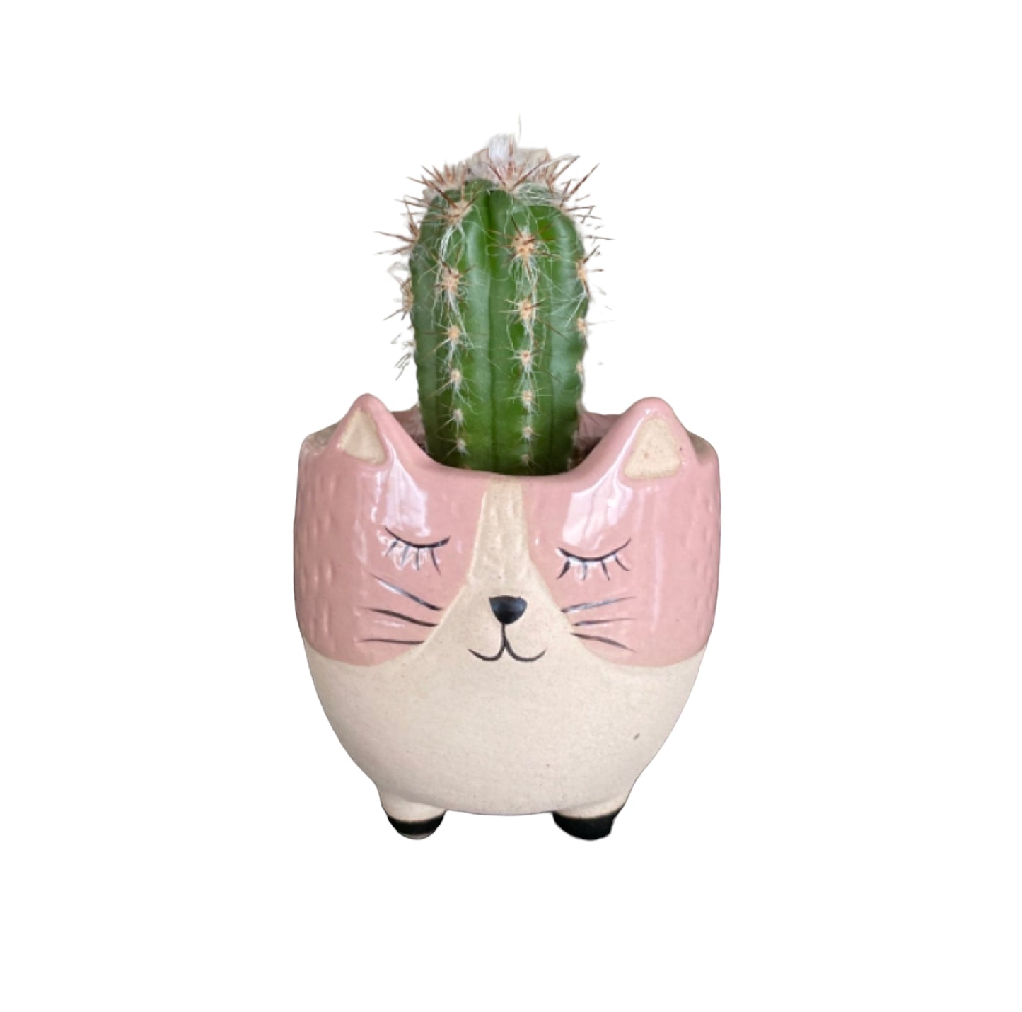 Plant Pot Planter Pink Kitty Cat