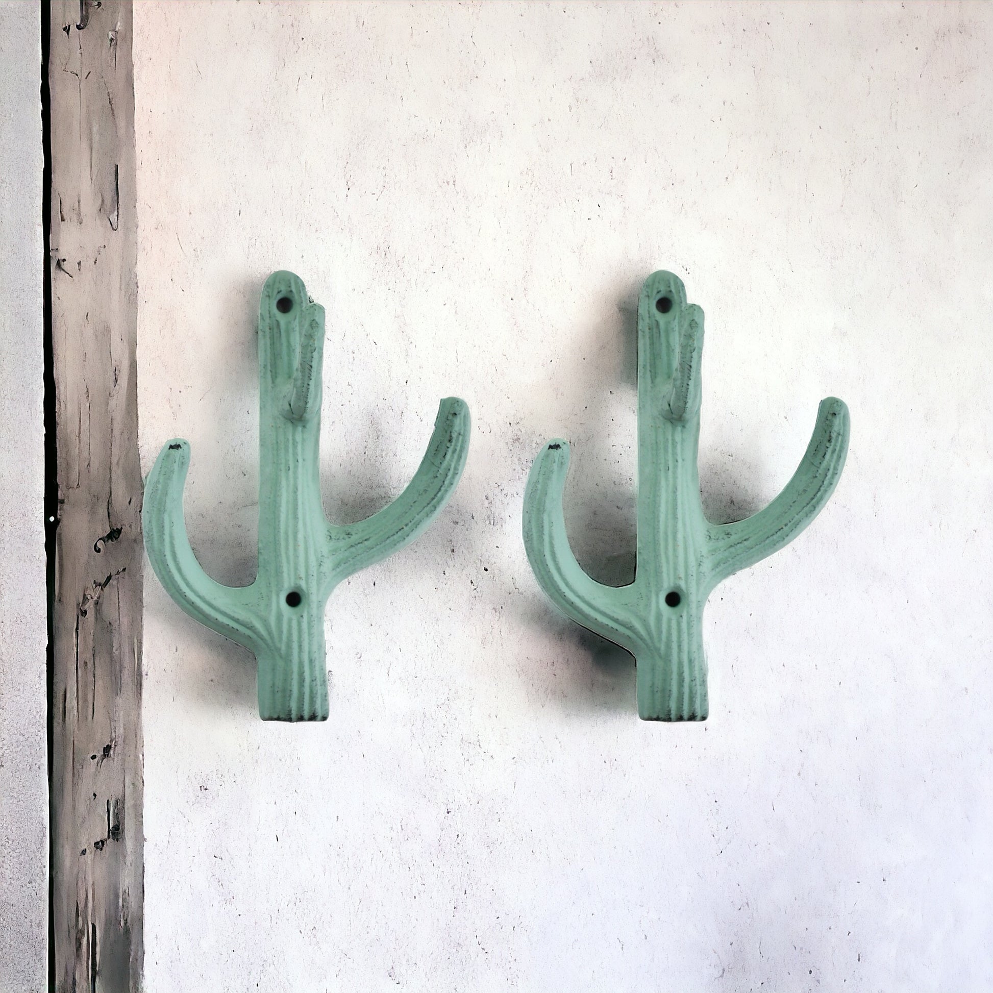Hook Cactus Double Green Set of 2 - The Renmy Store Homewares & Gifts 