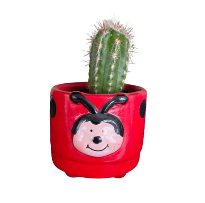 Plant Pot Planter Ladybird Beetle - The Renmy Store Homewares & Gifts 