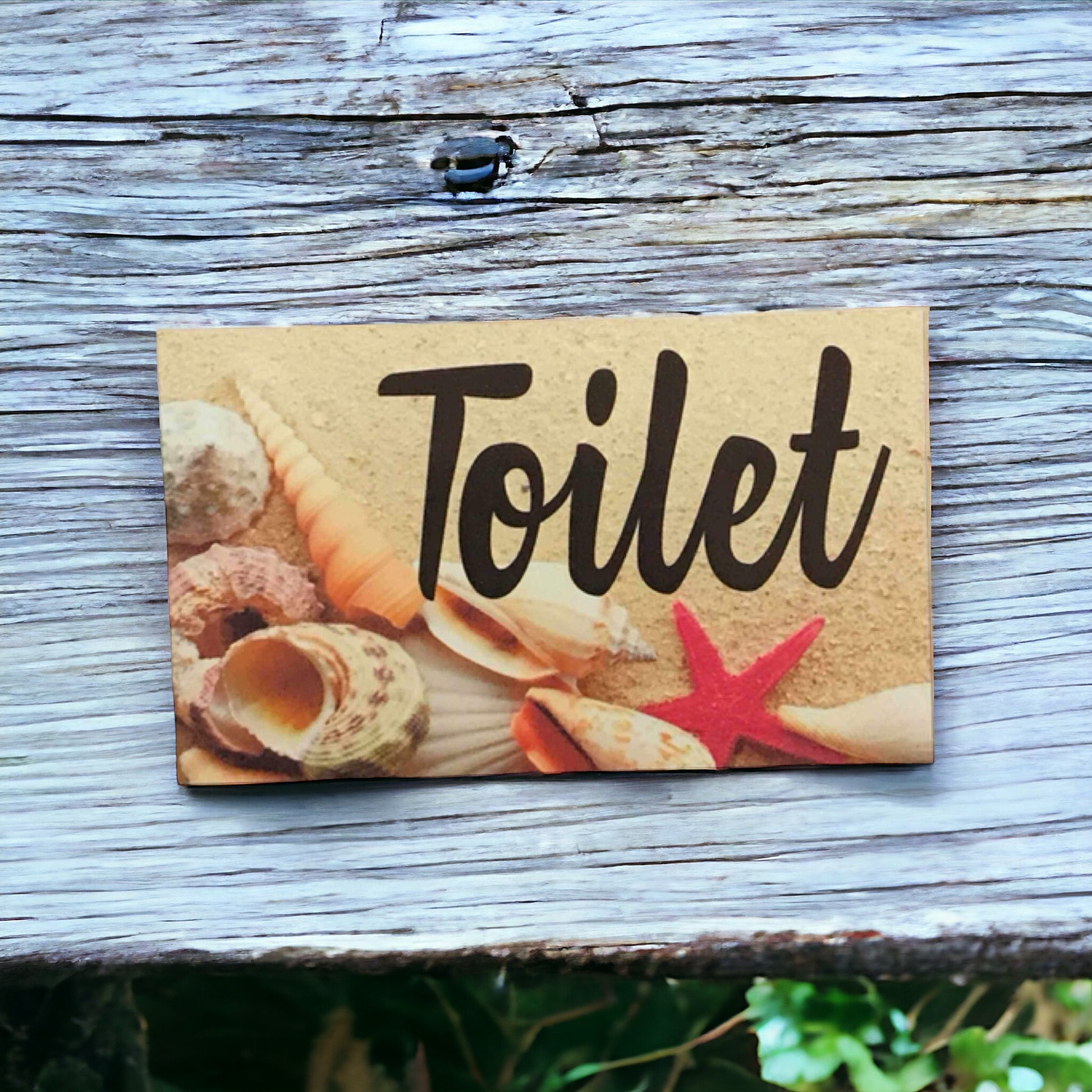 Beach Shells Starfish Toilet Laundry Bathroom Sign - The Renmy Store Homewares & Gifts 