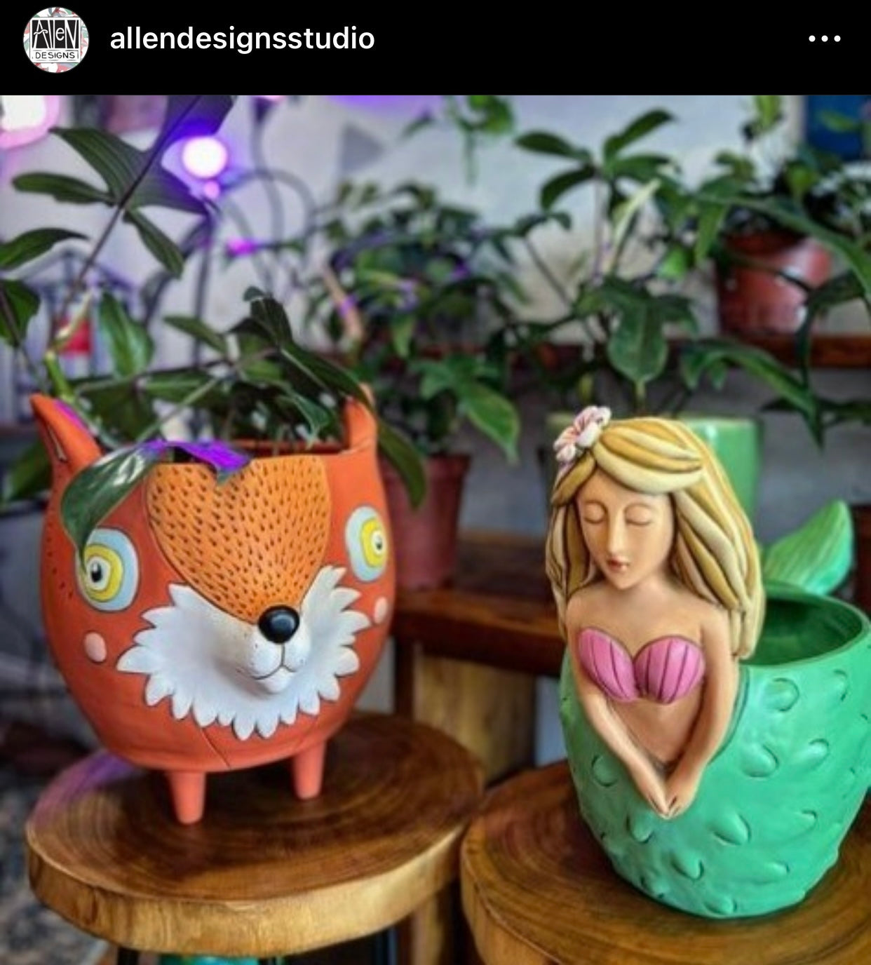 Fox Funky Pot Plant - The Renmy Store Homewares & Gifts 