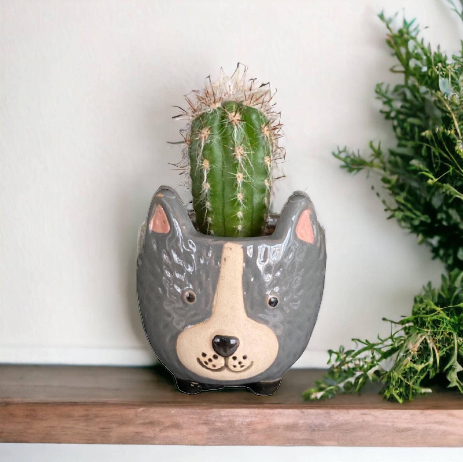 Plant Pot Planter Dog Rufus - The Renmy Store Homewares & Gifts 