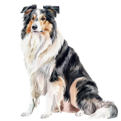 Collie Dog Custom Personalised Sign | Timber Look | Outdoor Aussie Made
