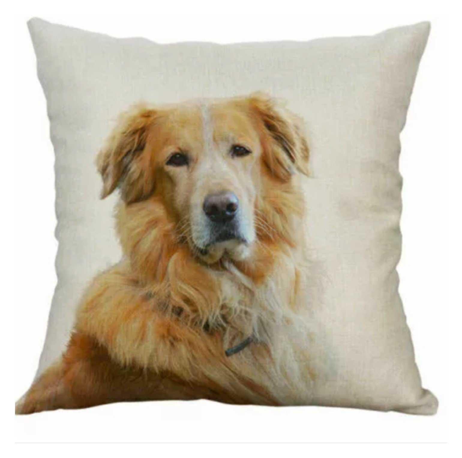 Cushion Pillow Golden Retriever Dog - The Renmy Store Homewares & Gifts 