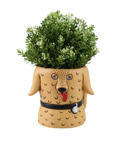 Dog Goldie Pot Plant Planter Short - The Renmy Store Homewares & Gifts 