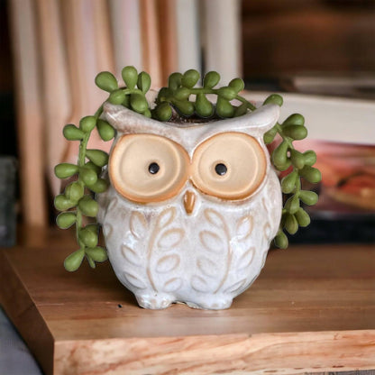 Plant Pot Planter Owl Natural - The Renmy Store Homewares & Gifts 