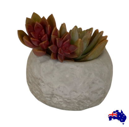 Planter Pot Round Rustic Stone Aussie Handmade Concrete