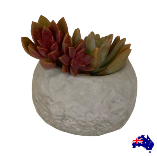 Planter Pot Round Rustic Stone Aussie Handmade Concrete