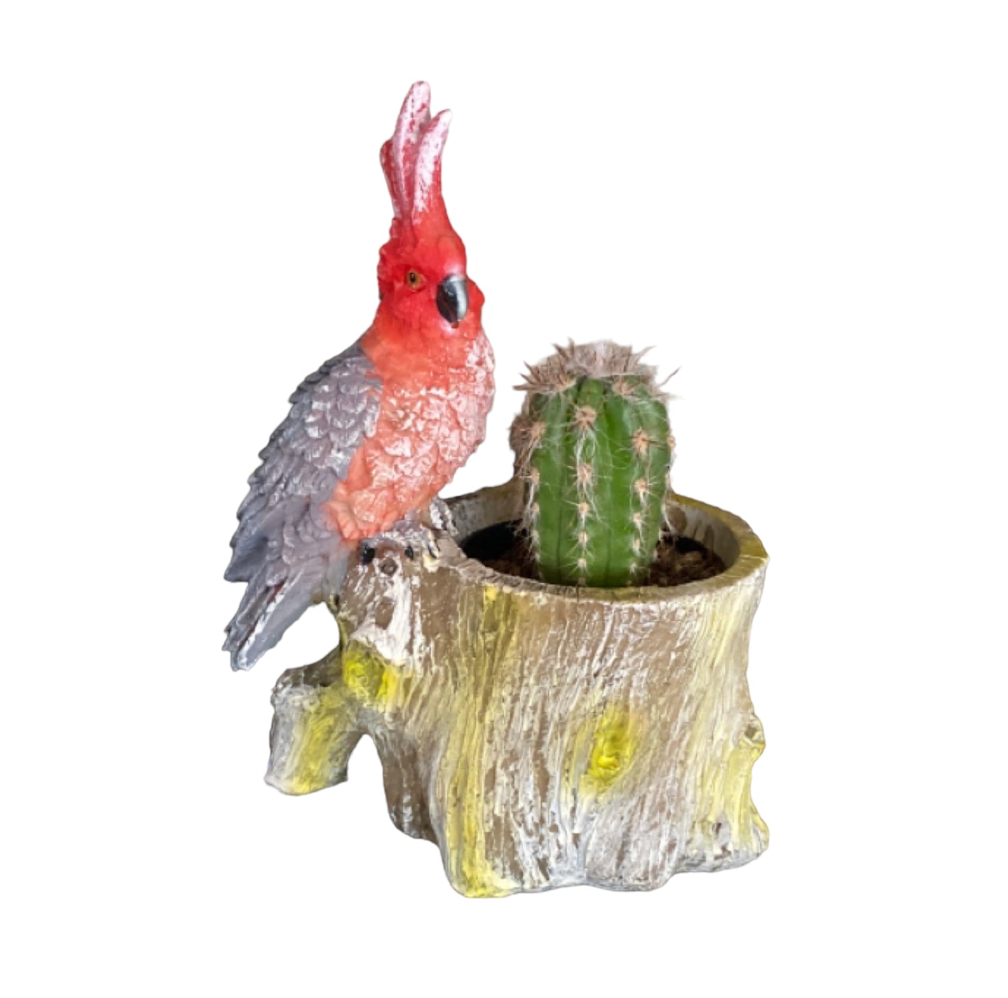 Plant Pot Planter Parrot - The Renmy Store Homewares & Gifts 