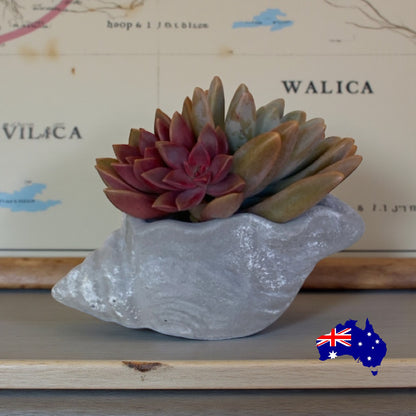 Candle Holder Shell Coastal Aussie Handmade Concrete